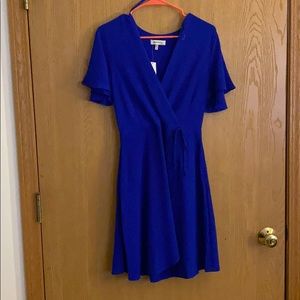 Monteau Blue Dress